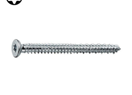 FRIULSIDER VITE PER CALCESTRUZZO TSP TX30 ZINCATA BIANCA