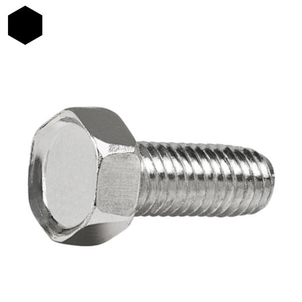 VITE TRILOBATA AUTOFORMANTE TE ZINCATA BIANCA M 6X 10 UNI 8110