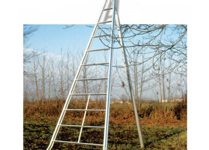 FACAL SCALA AGRI 15 GRADINI H.CM500