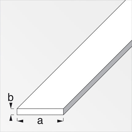 ALFER BARRA PIATTA ALLUMINIO ANODIZZATO ARGENTO MT.1