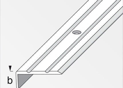 ALFER PROFILO ANGOLARE DI CHIUSURA ALLUMINIO ARGENTO MM25X10 MT1