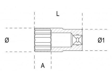 beta p009200315 (1).jpg