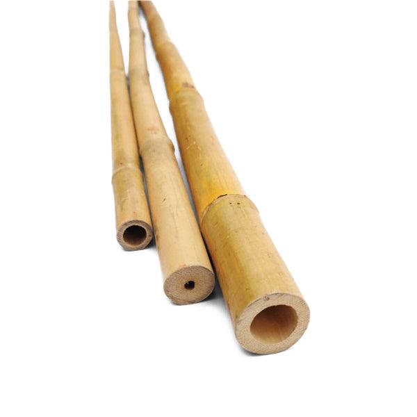 VERDELOOK CANNA DI BAMBOO ALTEZZA CM240 D.MM26-28