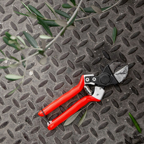 CASTELLARI FORBICE PER POTATURA A DOPPIO TAGLIO MOD. B 12 CM.21