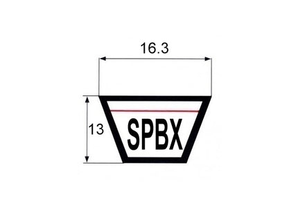 CINGHIA DENTATA SPBX