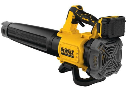 dewalt DCMBL562P1 QW.jpg