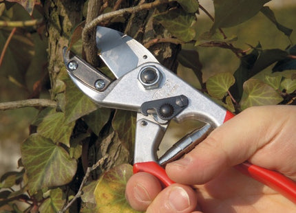 FELCO FORBICE PER POTATURA MOD. F 31 DA MM210 + BERRETTO