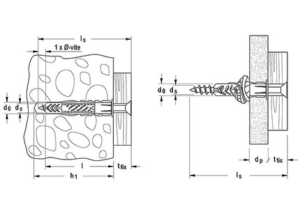 fischer 71541 (1).jpg