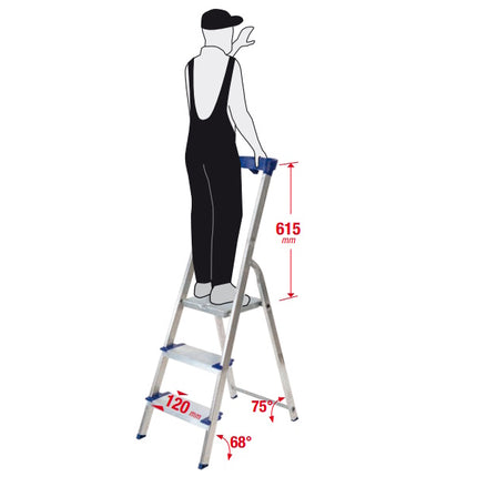 FACAL SCALA GAMMA MAXI  6 GRADINI CON PEDANA H.CM204