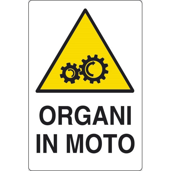 pixlemon organi in moto.jpg