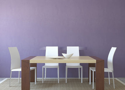 TRAFIL SALVAPARETE MOD. 1BS MM 80X800X4 IN CONF.CON VITI E TASSELLI